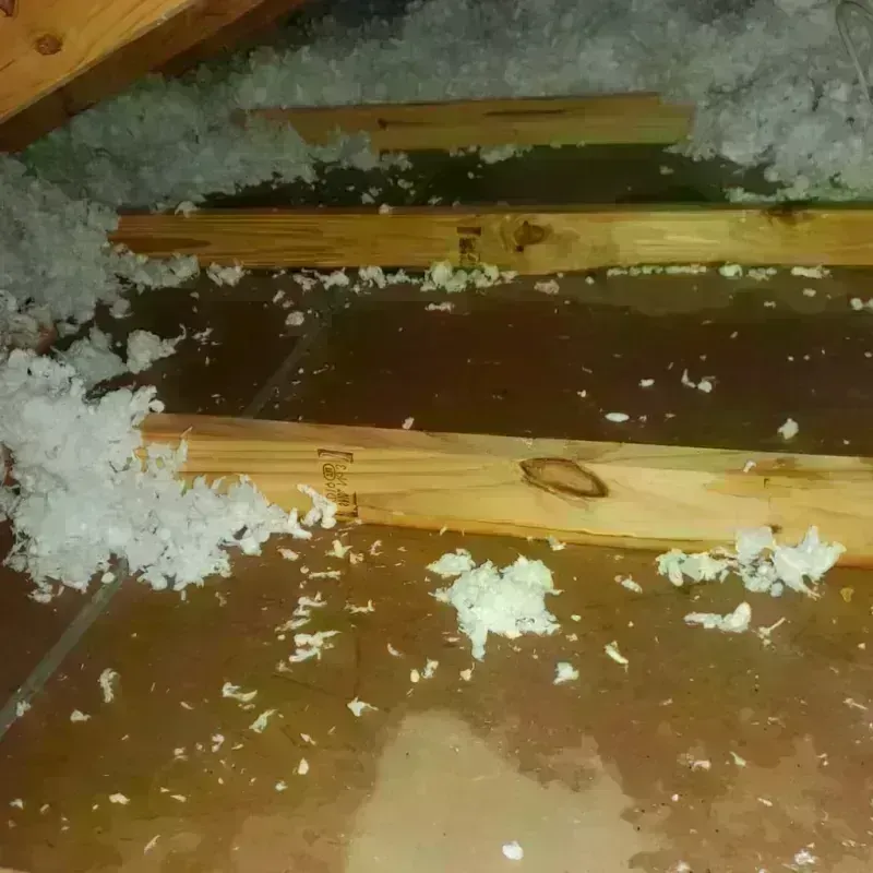 Attic Water Damage in Green Oaks, IL