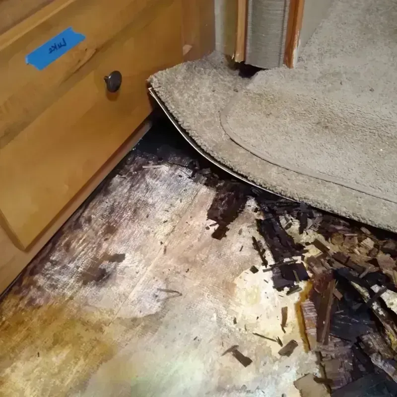 Best Wood Floor Water Damage Service in Green Oaks, IL